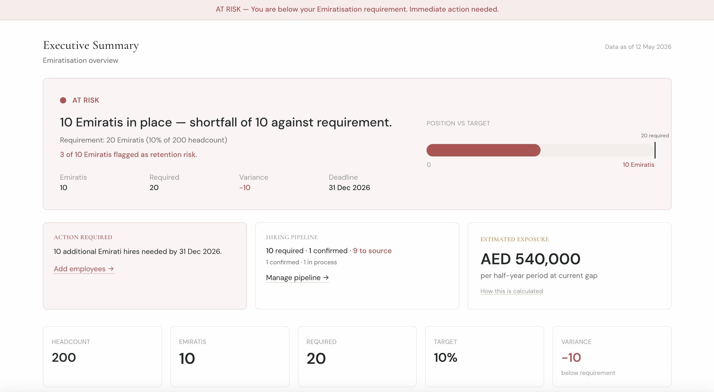 Emiratisation Strategy Dashboard
